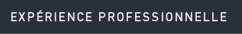 Expérience professionnelle