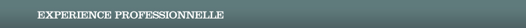 Experience professionnelle